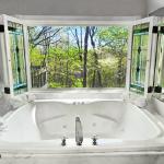 Spa Tub & View