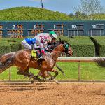 Oaklawn Horse Racing