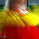 Asian Dance