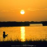 Fisherman at Sunset 