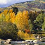 Fisherman from Marble Falls, Texas fishing on the Yampa River, Steamboat Springs, Colorado