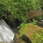 Whatcom Falls, Bellingham, WA