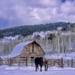 Winter Ranching
