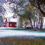 Red Barn In Winter