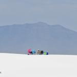 Fun In White Sands, New Mexico
